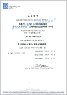 定盛机械OHSAS 18001质量认证